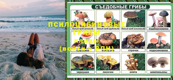 гашик Алексеевка