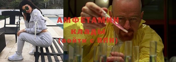 гашик Алексеевка
