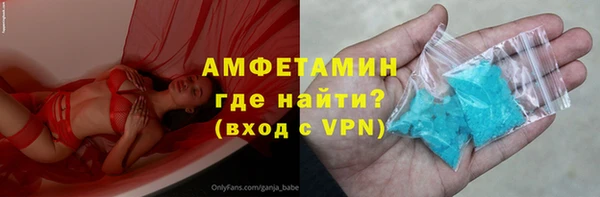 гашик Алексеевка