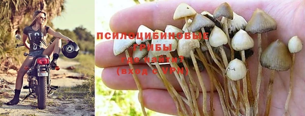 герыч Алзамай
