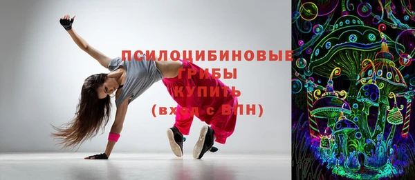 гашик Алексеевка