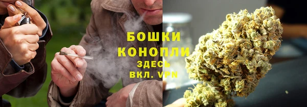 сатива Иннополис
